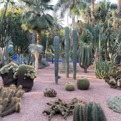 Majorelle Garden Marrakech