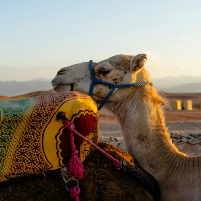 Agafay Desert Marrakech